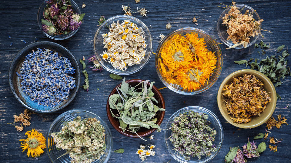 Zioła na kaszel dla dzieci i dorosłych